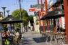 48 Jarrett Street, Leichhardt, NSW 2040-Image