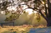 48 Kaufmann Close, Boyup Brook, WA 6244-Image