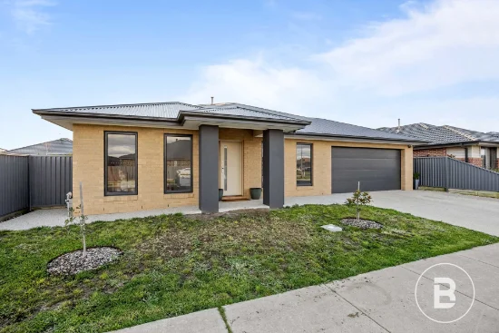 48 Longford Road, Alfredton, Vic 3350