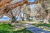 48 Park Ridge Drive, Bouvard, WA 6211-Image