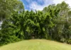 48 Pioneer Road, Pomona, Qld 4568-Image