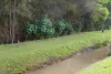 48 Seidler Place, Coombabah, Qld 4216-Image