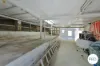 48 Sharland Avenue, New Norfolk, Tas 7140-Image