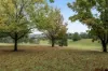 48 Stuart Street, Mount Lofty, Qld 4350-Image