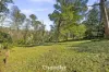 48 Ternes Road, Upwey, Vic 3158-Image