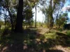 48 Thyme Ave, Forest Ridge, Qld 4357-Image