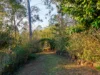 48 Trotter Road, Glenwood, Qld 4570-Image