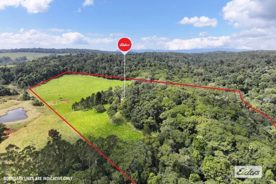 48 Wrights Creek Road, Lake Eacham, Qld 4884