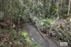 48 Wrights Creek Road, Lake Eacham, Qld 4884-Image