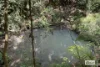 48 Wrights Creek Road, Lake Eacham, Qld 4884-Image