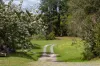 480 Left Bank Road, Mullumbimby Creek, NSW 2482-Image