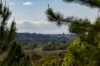 480 Left Bank Road, Mullumbimby Creek, NSW 2482-Image