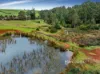 480 Minna Road, Stowport, Tas 7321-Image