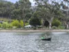 4804 Channel Highway, Gordon, Tas 7150-Image