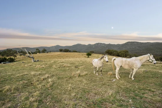 484 Tinderry Road, Michelago, NSW 2620