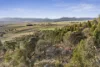 484 Tinderry Road, Michelago, NSW 2620-Image