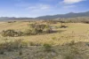 484 Tinderry Road, Michelago, NSW 2620-Image