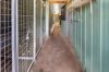 487 Sunraysia Highway, Avoca VIC 3467-Image