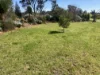4872 Goldenfields Way, Temora, NSW 2666-Image