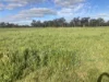 4872 Goldenfields Way, Temora, NSW 2666-Image