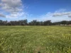 4872 Goldenfields Way, Temora, NSW 2666-Image