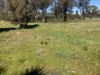 4872 Goldenfields Way, Temora, NSW 2666-Image