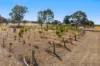 4877 Stawell-avoca Road, Barkly VIC 3384-Image
