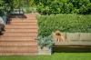 48a The Glen Road, Bardwell Valley, NSW 2207-Image