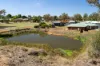 49-51 Mimosa Street, Coolamon, NSW 2701-Image