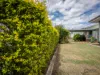 49 Allan Street, Gatton, Qld 4343-Image