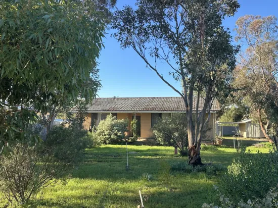 49 Ash Cres, Gladstone, SA 5473