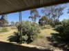 49 Ash Crescent, Gladstone, SA 5473-Image