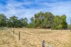 49 Ashton Road, Bullsbrook, WA 6084-Image