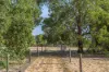 49 Ashton Road, Bullsbrook, WA 6084-Image