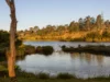 49 Atkinson Drive, Karana Downs, Qld 4306-Image