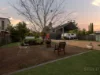 49 Atkinson Drive, Karana Downs, Qld 4306-Image