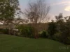 49 Atkinson Drive, Karana Downs, Qld 4306-Image