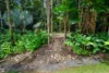 49 Barron Falls Road, Kuranda, Qld 4881-Image