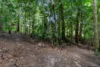 49 Barron Falls Road, Kuranda, Qld 4881-Image
