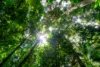 49 Barron Falls Road, Kuranda, Qld 4881-Image