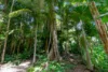 49 Barron Falls Road, Kuranda, Qld 4881-Image