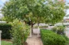 49 Bosanquet Avenue, Prospect, SA 5082-Image