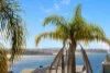 49 Bower Street, Manly, NSW 2095-Image