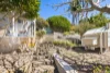 49 Bower Street, Manly, NSW 2095-Image