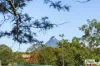 49 Brisbane Street, Murwillumbah, NSW 2484-Image