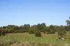 49 Butlers Lane, Glenlyon, Vic 3461-Image