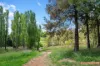 49 Carman Loop, MacGregor, ACT 2615-Image