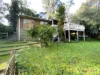 49 Caroline Avenue, Cockatoo, Vic 3781-Image
