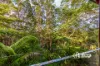 49 City View Terrace, Nambour, Qld 4560-Image
