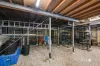 49 Colwel Street, Oxley, Qld 4075-Image